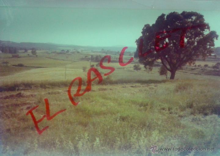 Fotografia antica: ANTIGUA FOTO DE PAISAJES-1- DE MEDIDAS 15X10  CTMS