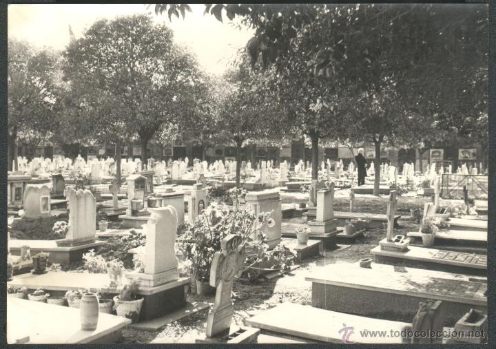 Fotograf&iacute;a antigua: CEMENTERIO