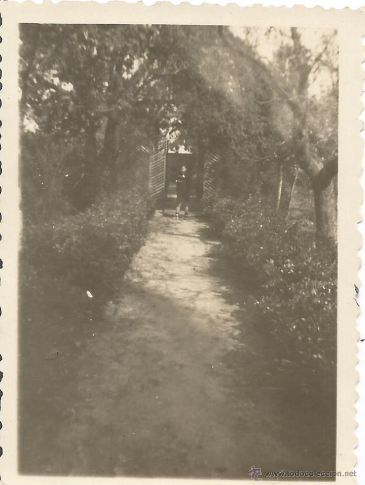 Fotografia antica: :::: AB244 - FOTOGRAFIA - PAISAJE