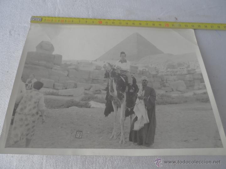 Fotograf&iacute;a antigua: foto antigua PIRAMIDA EGIPTO oriental camello arabe gran tama&ntilde;o