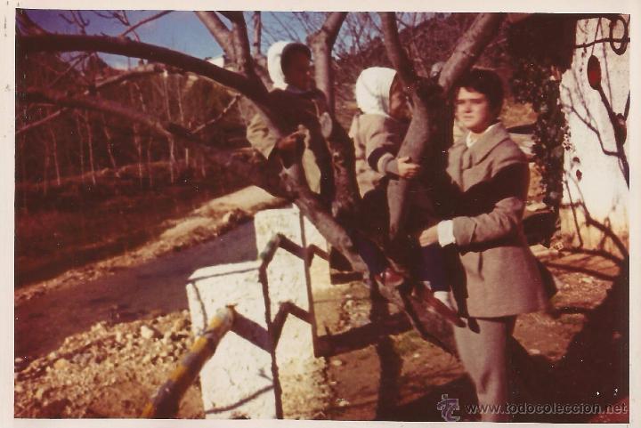 Fotograf&iacute;a antigua: :::: G700 - FOTOGRAFIA - DOS NI&Ntilde;OS SUBIDOS EN UN ARBOL