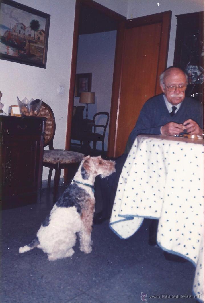 Fotograf&iacute;a antigua: ** PP487 - FOTOGRAFIA - PERRITO JUNTO A UN SE&Ntilde;OR