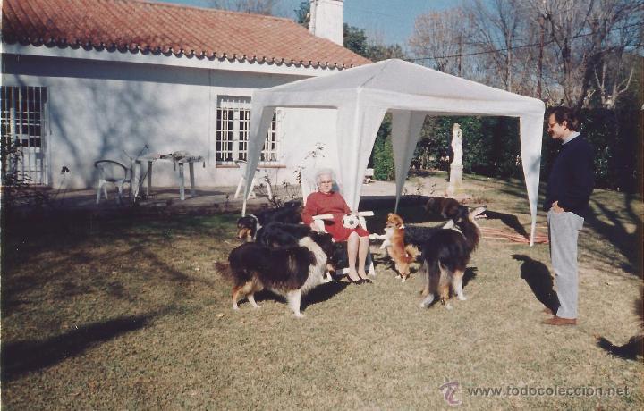 Fotograf&iacute;a antigua: *** PP490 - FOTOGRAFIA - FAMILIA CON SUS PERROS EN EL JARDIN