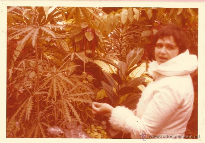 Antique Photography: ** B736 - FOTOGRAFIA - CHICA JUNTO A UNAS PLANTAS
