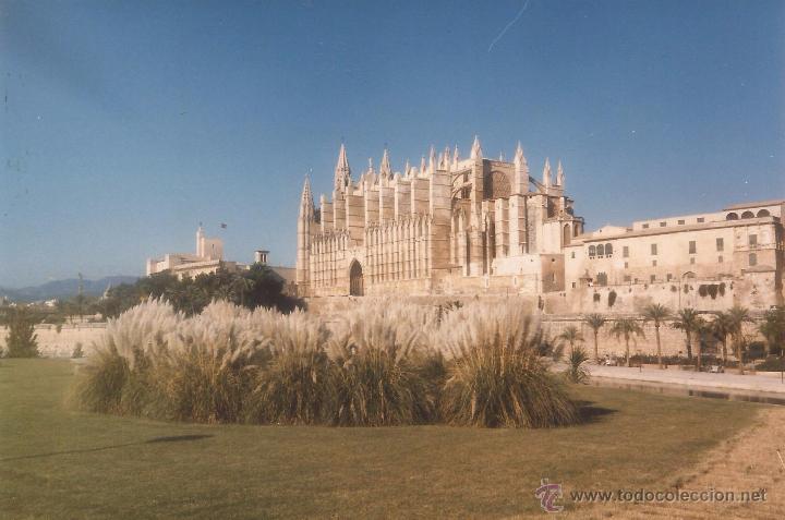 Alte Fotografie: :::: C610 - FOTOGRAFIA - CATEDRAL DE PALMA DE MALLORCA