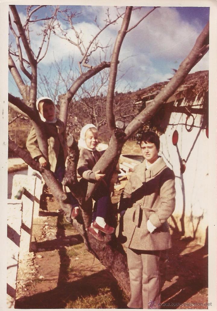 Alte Fotografie: *** B775 - FOTOGRAFIA - JOVEN CON DOS NI&Ntilde;OS SUBIDOS A UN ARBOL