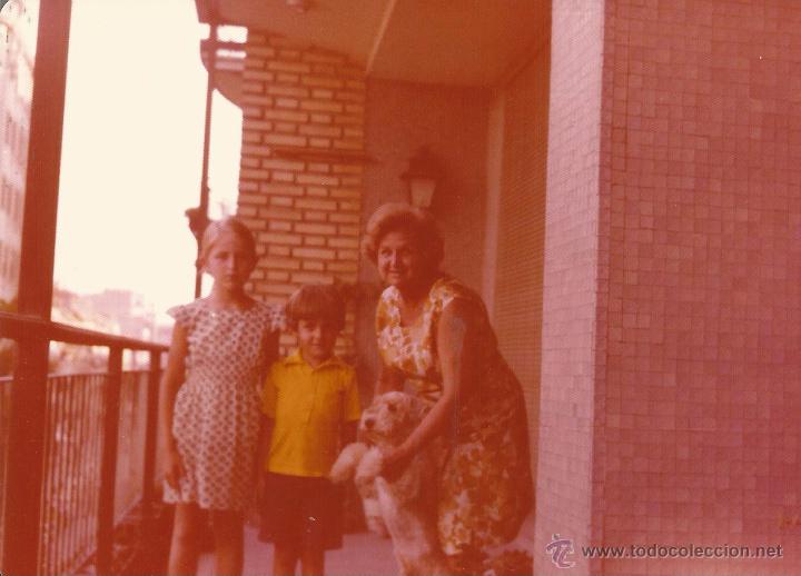 Antique Photography: *** CC360 - FOTOGRAFIA - SE&Ntilde;ORA CON UNA PAREJITA DE NI&Ntilde;OS Y UN PERRITO