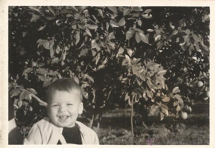 Antique Photography: ** M581 - FOTOGRAFIA - BONITO NI&Ntilde;O JUNTO A UN NARANJO - RF. FL17