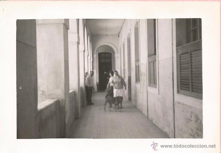 Alte Fotografie: ** M717 - FOTOGRAFIA - TRES AMIGOS CON UN PERRITO - RF. FL17