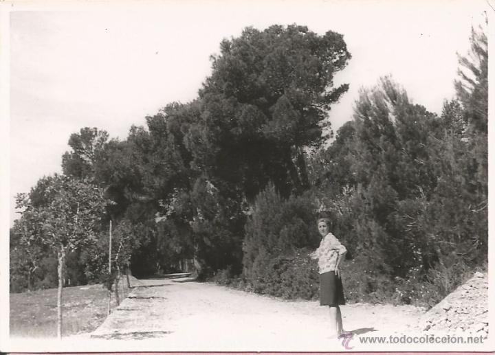 Alte Fotografie: ** M771 - FOTOGRAFIA - SE&Ntilde;ORA DE PASEO POR EL CAMPO