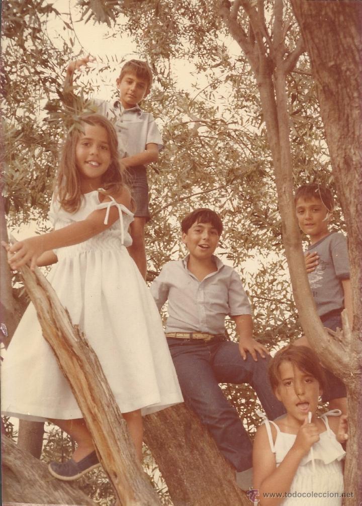 Fotograf&iacute;a antigua: :::: FF42 - FOTOGRAFIA - GRUPO DE JOVENCITOS SUBIDOS EN UN ARBOL