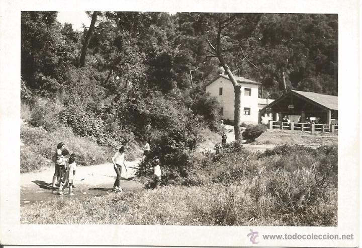 Alte Fotografie: ^^^ R53 - FOTOGRAFIA - GENTE EN EL CAMPO