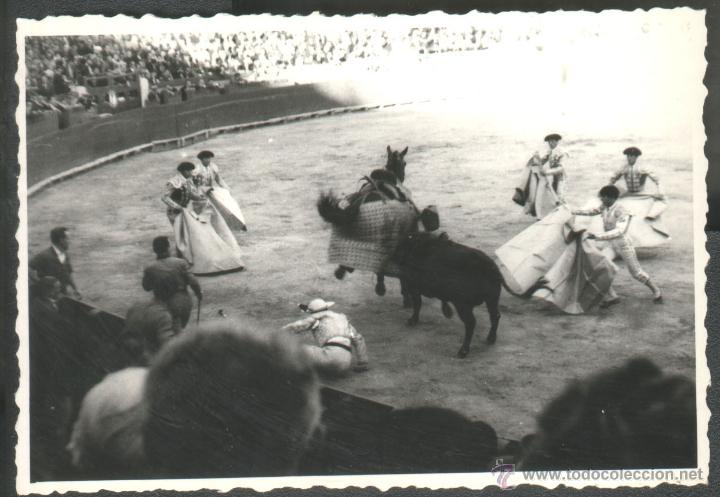 Fotograf&iacute;a antigua: TORO DESCABALGANDO A UN PICADOR - Foto 1