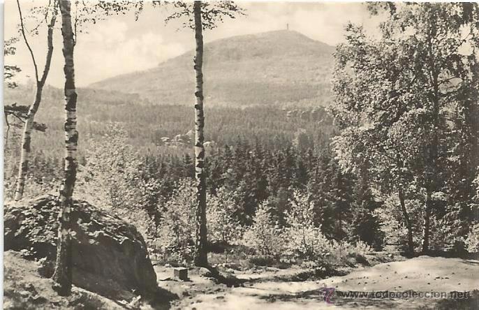 Alte Fotografie: ** H214 - PEQUE&Ntilde;A POSTALLITA FOTOGRAFICA - BLICK VON T&Ouml;PFER ZUM HOCHWALD