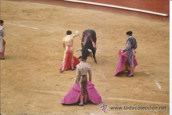 Fotograf&iacute;a antigua: ** D517 - FOTOGRAFIA - TOREROS EN PLENA FAENA