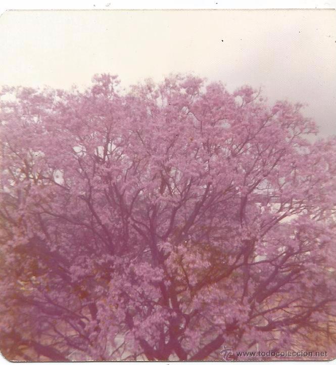 Fotograf&iacute;a antigua: :::: H62 - FOTOGRAFIA - PAISAJE