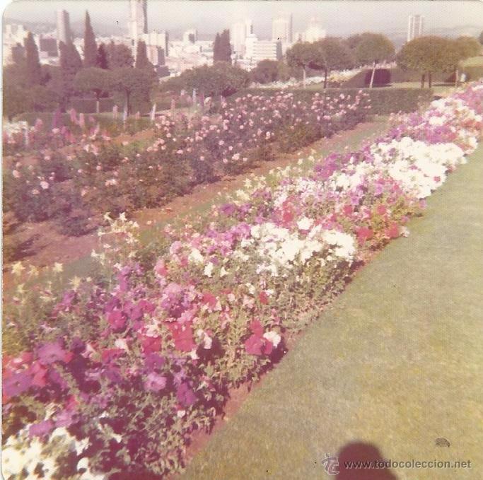Antique Photography: :::: H86 - FOTOGRAFIA - PAISAJE - JARDIN