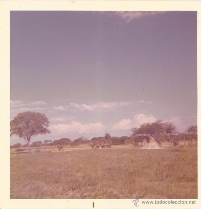 Antique Photography: :::: H94 - FOTOGRAFIA - PAISAJE