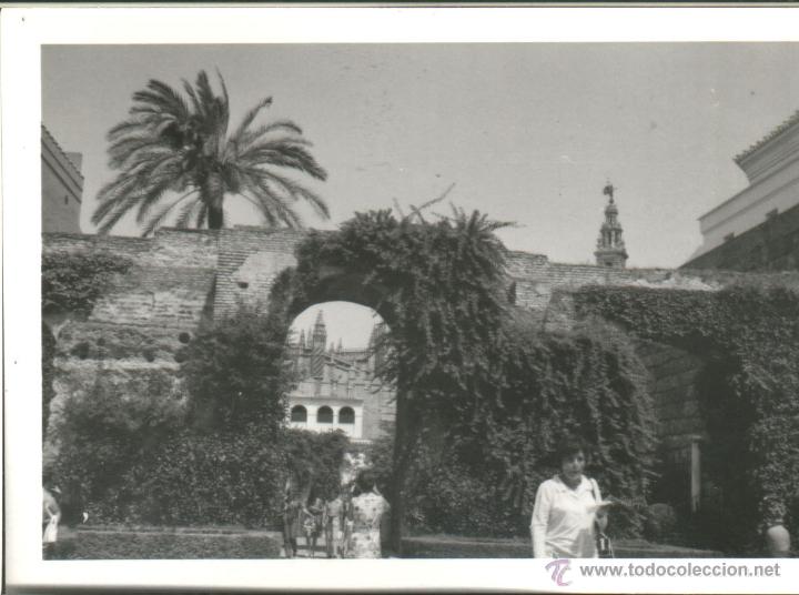 Fotograf&iacute;a antigua: SEVILLA - Foto 1