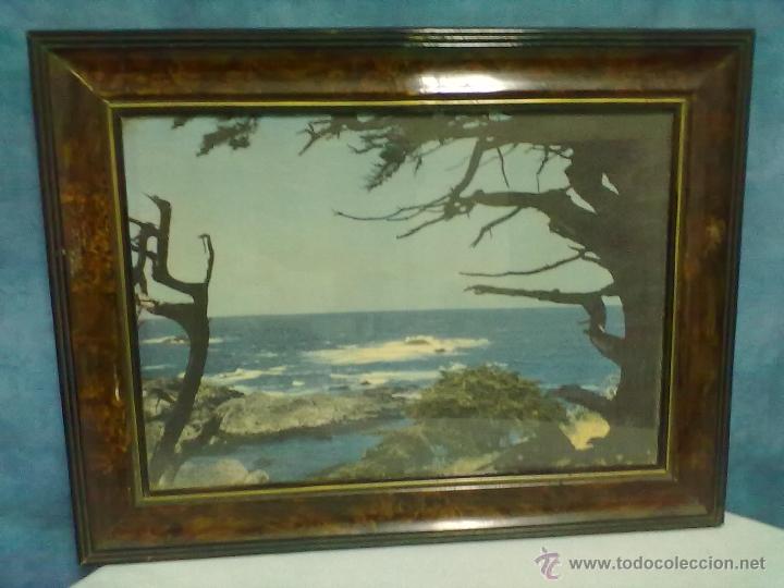 Fotograf&iacute;a antigua: FOTOGRAFIA VINTAGE ENMARCADA CON CRISTAL