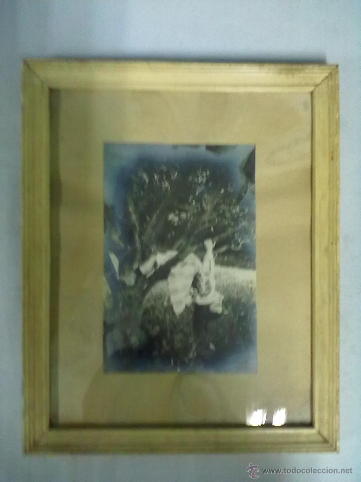 Fotograf&iacute;a antigua: FOTOGRAFIA VINTAGE ENMARCADA CON CRISTAL NI&Ntilde;A EN ARBOL