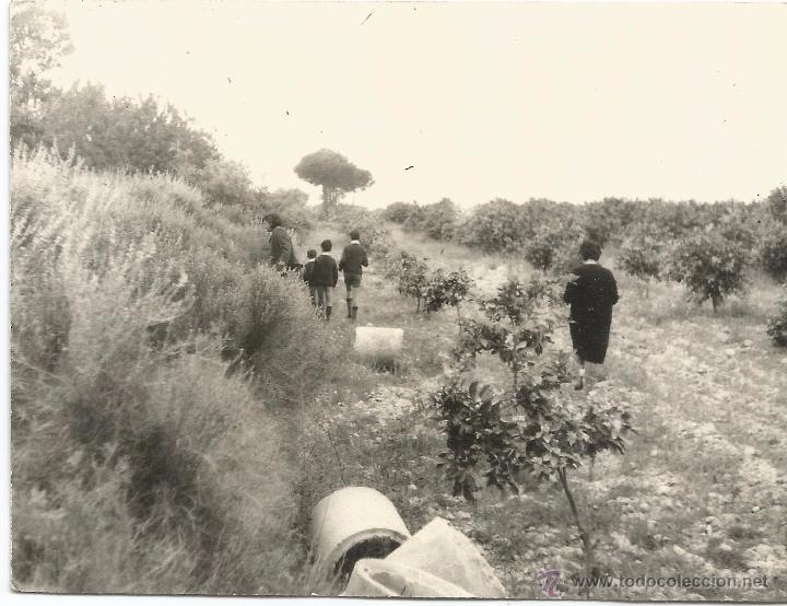 Fotograf&iacute;a antigua: :::: FA254 - FOTOGRAFIA - SE&Ntilde;ORA Y NI&Ntilde;OS DE PASEO POR EL CAMPO