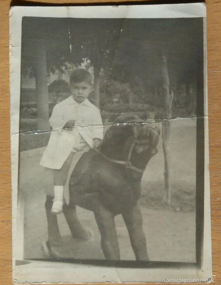 Fotografia antica: NI&Ntilde;O SOBRE CABALLO DE JUGUETE