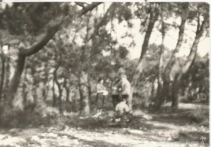 Alte Fotografie: ** J477 - FOTOGRAFIA - AMIGOS EN UN BOSQUE