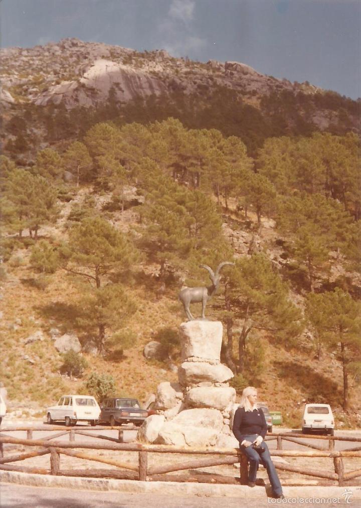 Alte Fotografie: :::: QA779 - FOTOGRAFIA - SE&Ntilde;ORA EN UN PAISAJE DE MONTA&Ntilde;A
