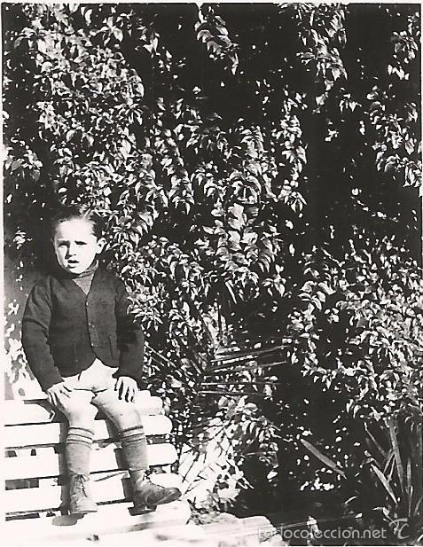 Fotografia antica: ** FA805 - FOTOGRAFIA PEQUE&Ntilde;O FORMATO - NI&Ntilde;ITO - 5,8 X 4,5 CM.