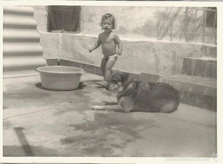 Fotografia antica: ** J763 - FOTOGRAFIA - NI&Ntilde;ITA CON SU PERRO - 1975