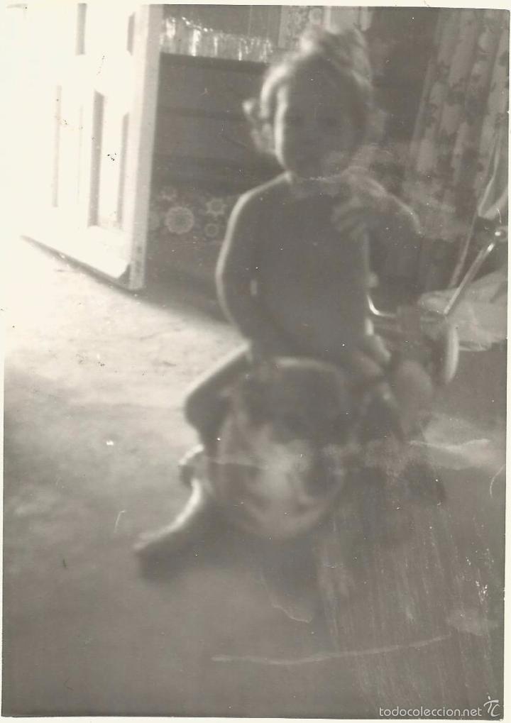Alte Fotografie: ** J773 - FOTOGRAFIA - NI&Ntilde;ITA CON SU PERRO - 1975