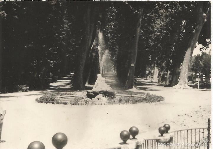 Fotografia antica: ** T40 - FOTOGRAFIA - BONITO PAISAJE - FUENTE - RF. 070516