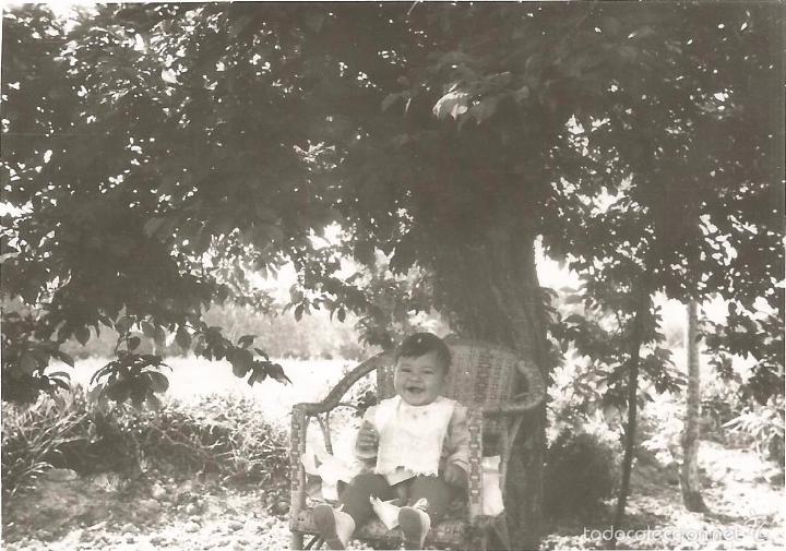 Fotografia antica: :::: T47 - FOTOGRAFIA - NI&Ntilde;ITA SENTADA EN UN SILLON BAJO UN ARBOL