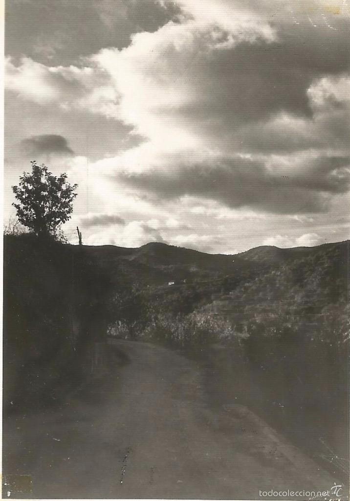 Fotografia antica: ** S623 - FOTOGRAFIA - PAISAJE