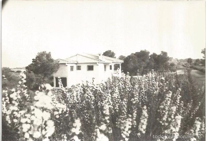 Fotografia antica: :::: T466 - FOTOGRAFIA - PAISAJE