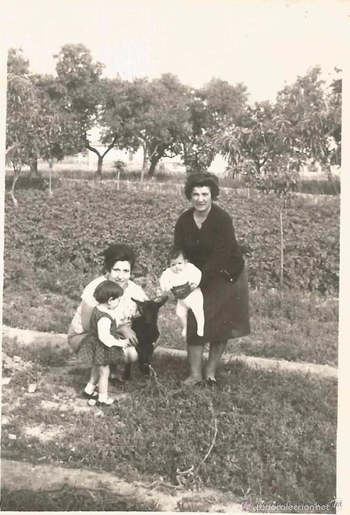 Fotografia antiga: ** SS46 - FOTOGRAFIA - DOS SE&Ntilde;ORAS CON DOS NI&Ntilde;ITOS EN EL CAMPO