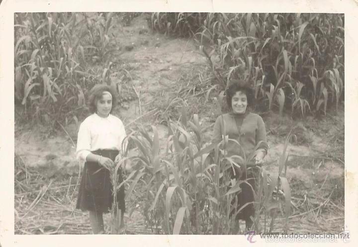 Fotografia antiga: ** SS62 - FOTOGRAFIA - DOS AMIGAS EN EL CAMPO
