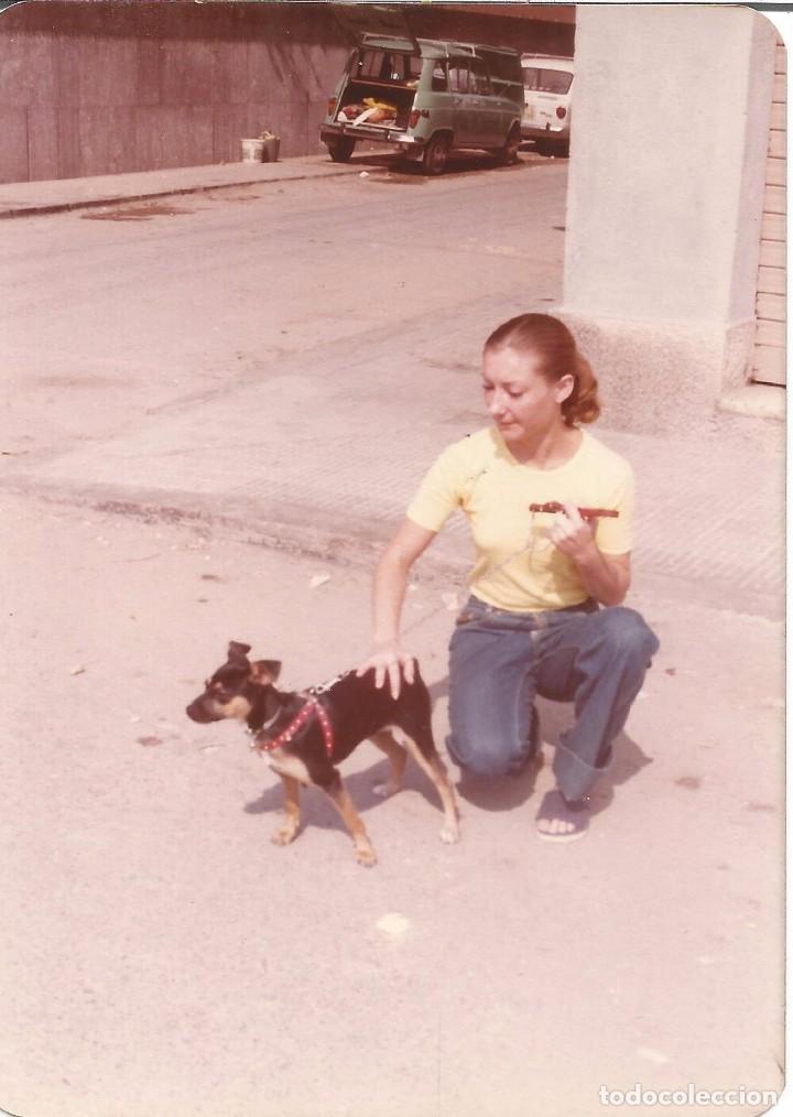 Fotografia antica: *** QW183 - FOTOGRAFIA - JOVENCITA CON UN PERRITO