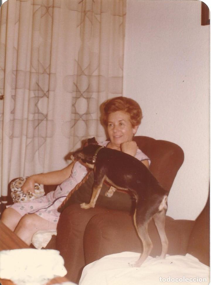 Fotografia antica: *** QW184 - FOTOGRAFIA - SE&Ntilde;ORA CON UN PERRITO