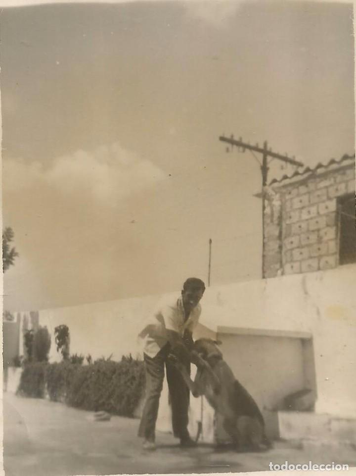 Fotograf&iacute;a antigua: ** SS345 - FOTOGRAFIA - SE&Ntilde;OR JUGANDO CON UN PERRO - RF.C75