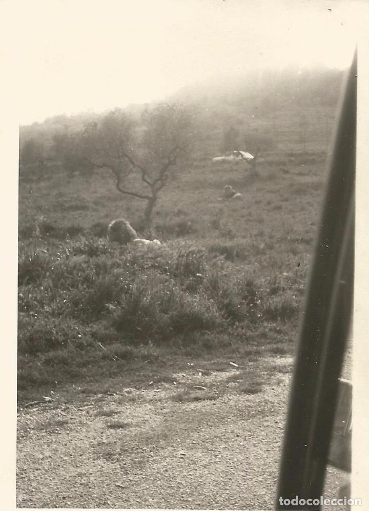 Fotograf&iacute;a antigua: ** SS960 - FOTOGRAFIA - PAISAJE - RIO LLE&Oacute; - RF. C75