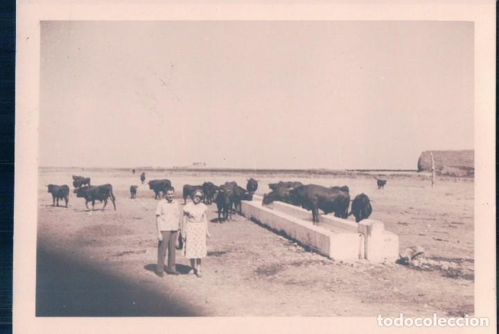 Fotograf&iacute;a antigua: FOTOGRAFIA ANTIGUA DE ALCALA LA REAL - JAEN, RECOLECCION TRILLA 11*8 CM