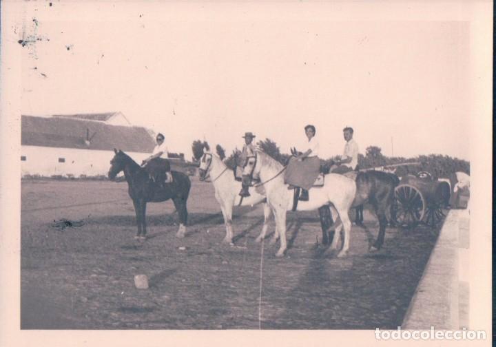 Fotografia antiga: FOTOGRAFIA ANTIGUA DE ALCALA LA REAL - JAEN, RECOLECCION TRILLA 11*8 CM