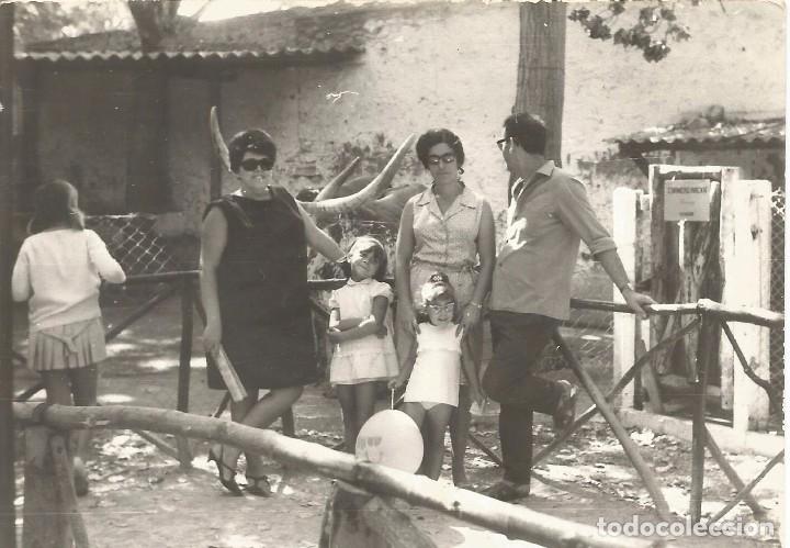 Fotografia antica: ** A570 - FOTOGRAFIA - FAMILIA  EN EL ZOO - RF. C75
