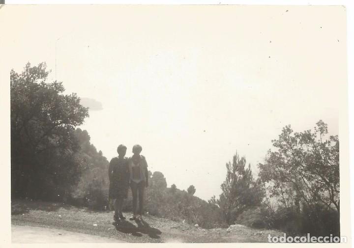 Fotografia antica: ** A596 - FOTOGRAFIA - PAISAJE - VALLDEMOSA 1977 - RF. C75