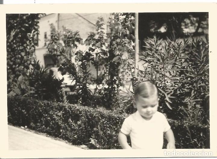 Fotografia antica: ** AB152 - FOTOGRAFIA - NI&Ntilde;ITO - RF. C75