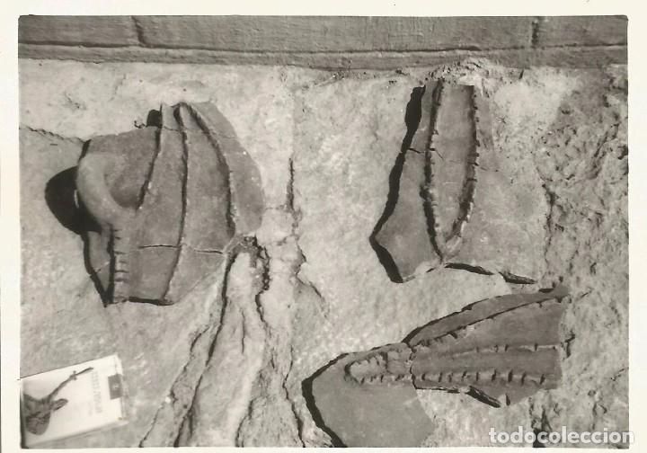 Fotografia antica: ** AB169 - FOTOGRAFIA - PIEZAS DE MUSEO - RF. C75