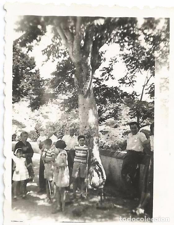 Antique Photography: ** FP361 - FOTOGRAFIA PEQUE&Ntilde;O FORMATO - GRUPO FAMILIAR EN EL CAMPO - 6,5 X 4,8 CM. - RF. C75