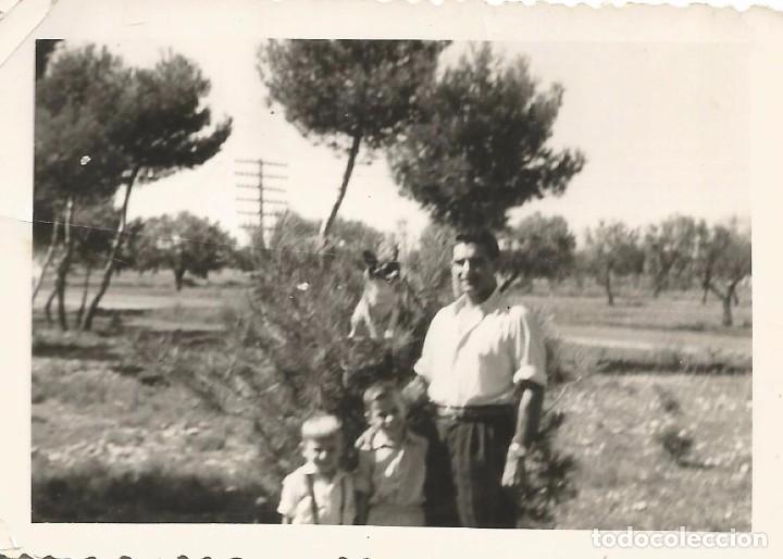 Antique Photography: *** AB407 - FOTOGRAFIA - SE&Ntilde;OR EN EL CAMPO CON DOS NI&Ntilde;OS Y UN PERRITO
